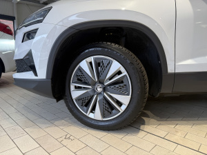 Skoda Karoq Business 2.0 Tdi 116ch Dsg7 Karoq 116&nbsp;787km