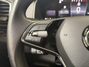 Skoda Karoq Business 2.0 Tdi 150 Scr Bvm6 Karoq 107&nbsp;937km
