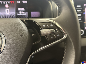 Skoda Karoq Business 2.0 Tdi 150 Scr Bvm6 Karoq 107&nbsp;937km