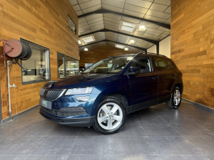 Skoda Karoq Business 1.5 Tsi 150ch Dsg7 Karoq 134&nbsp;650km